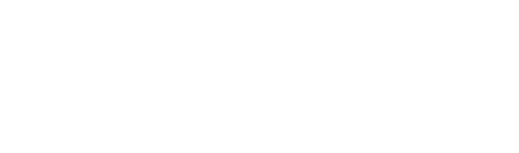 SlabScan